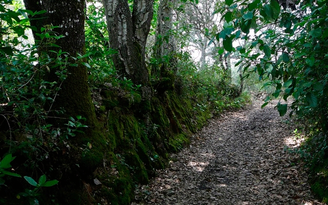 Sierra de Aracena, senderismo y naturaleza en estado puro