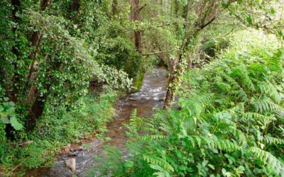 Río Múrtigas en la Sierra de Aracena y Picos de Aroche