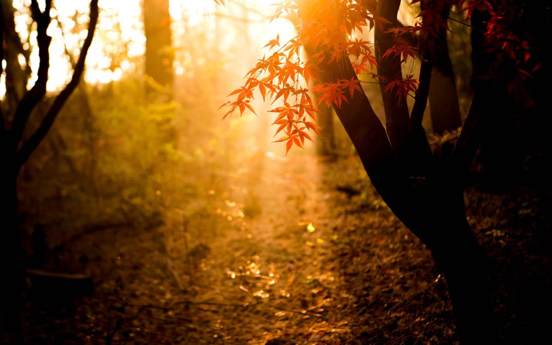 4 actividades que no debes dejar pasar este puente