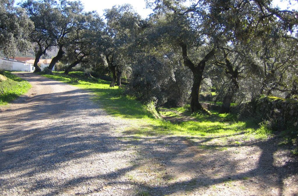 2 senderos en Galaroza para rebajar estos días de excesos ;)