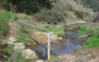 Sendero Galaroza – Valdelarco