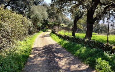 Naturaleza, gastronomía, tradición y mucho más en la Sierra de Aracena